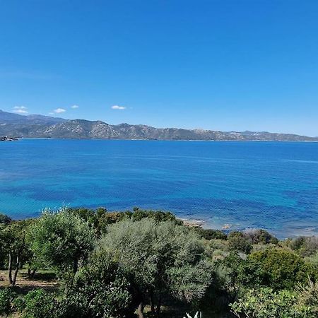 Appartement Sur La Baie De Saint Florent Patrimonio Εξωτερικό φωτογραφία