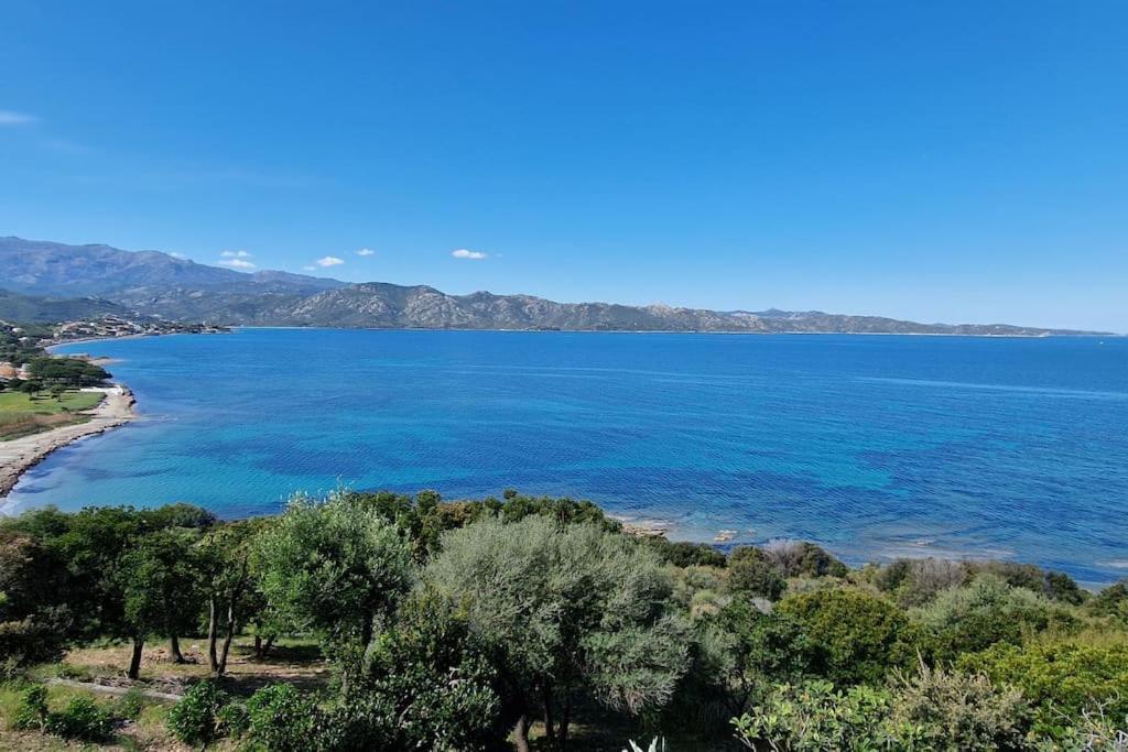 Appartement Sur La Baie De Saint Florent Patrimonio Εξωτερικό φωτογραφία
