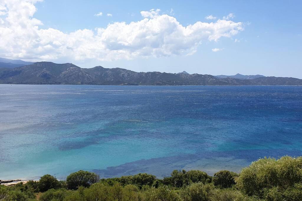 Appartement Sur La Baie De Saint Florent Patrimonio Εξωτερικό φωτογραφία
