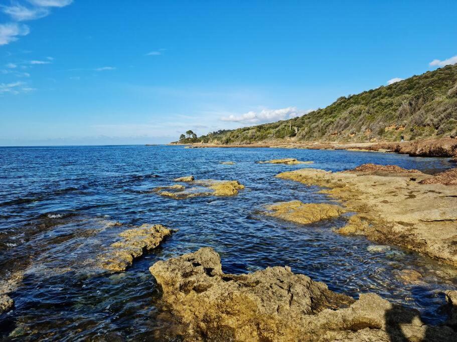 Appartement Sur La Baie De Saint Florent Patrimonio Εξωτερικό φωτογραφία