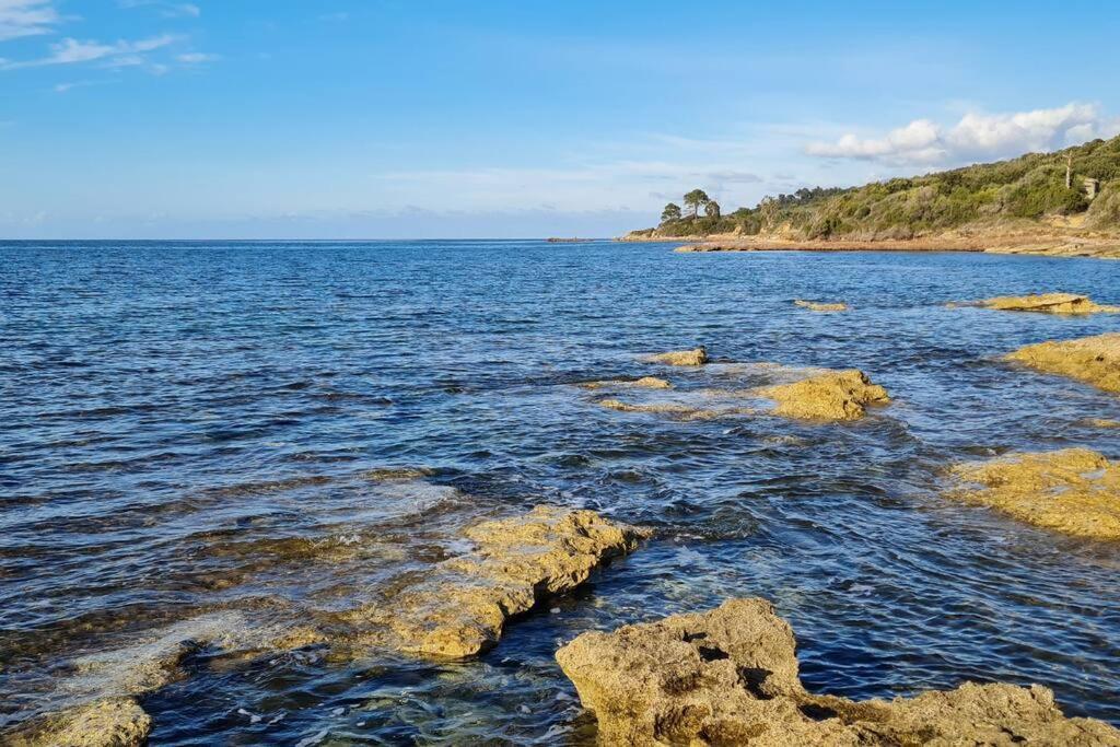 Appartement Sur La Baie De Saint Florent Patrimonio Εξωτερικό φωτογραφία