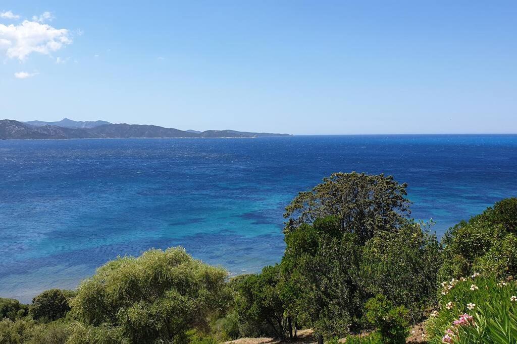 Appartement Sur La Baie De Saint Florent Patrimonio Εξωτερικό φωτογραφία