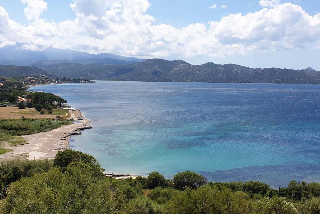 Appartement Sur La Baie De Saint Florent Patrimonio Εξωτερικό φωτογραφία