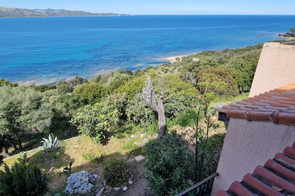Appartement Sur La Baie De Saint Florent Patrimonio Εξωτερικό φωτογραφία