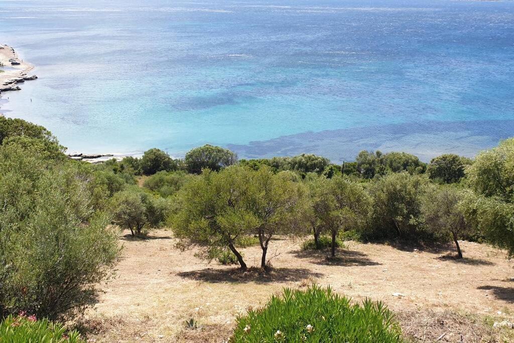 Appartement Sur La Baie De Saint Florent Patrimonio Εξωτερικό φωτογραφία